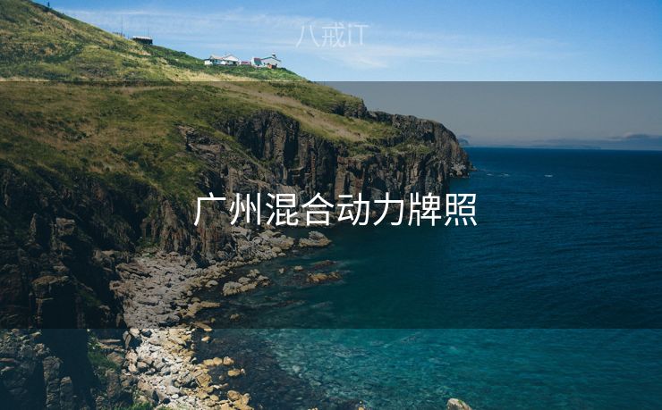  广州混合动力牌照