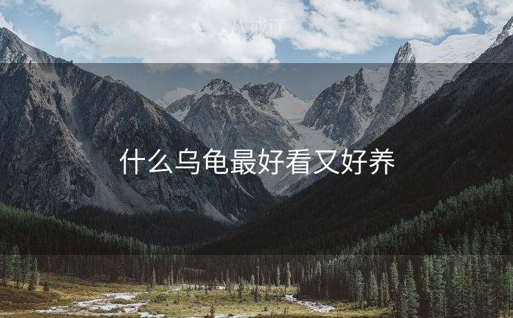 什么乌龟最好看又好养