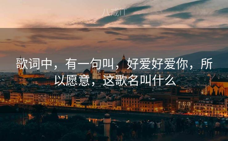 歌词中，有一句叫，好爱好爱你，所以愿意，这歌名叫什么