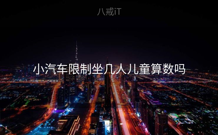 小汽车限制坐几人儿童算数吗
