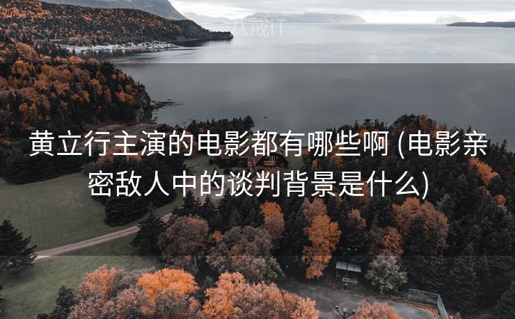 黄立行主演的电影都有哪些啊 (电影亲密敌人中的谈判背景是什么)