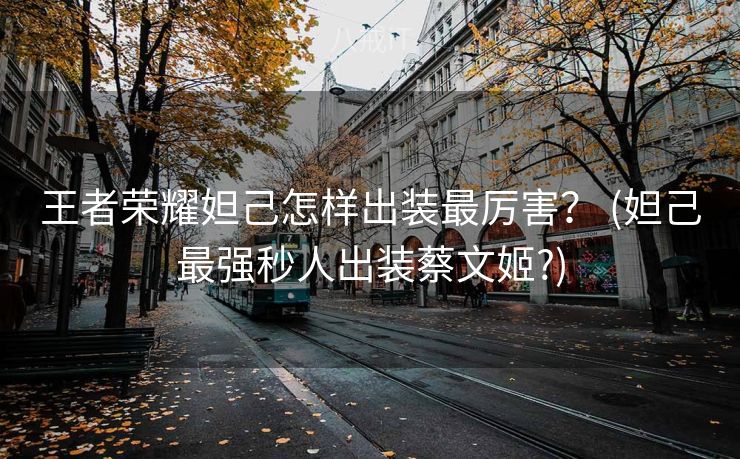 王者荣耀妲己怎样出装最厉害？ (妲己最强秒人出装蔡文姬?)