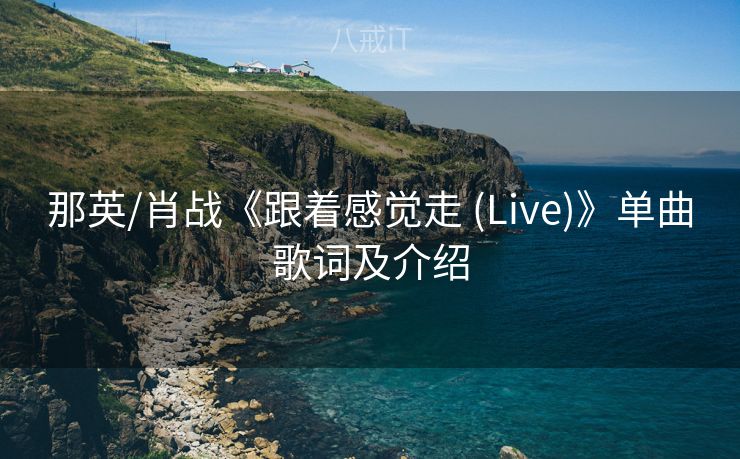 那英/肖战《跟着感觉走 (Live)》单曲歌词及介绍
