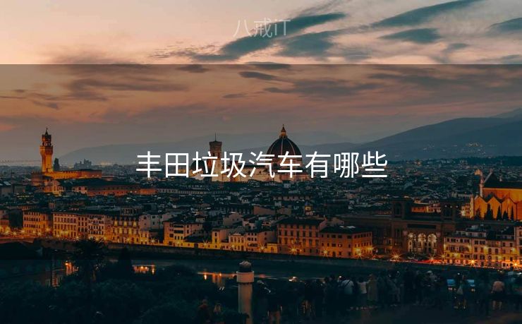 丰田垃圾汽车有哪些