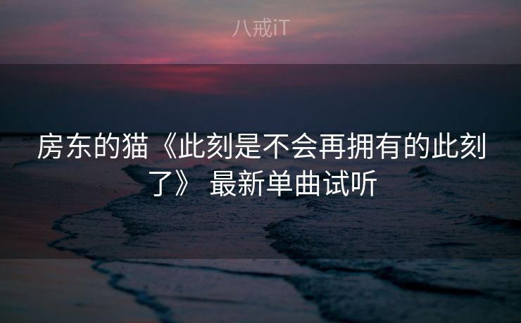 房东的猫《此刻是不会再拥有的此刻了》 最新单曲试听