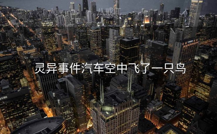  灵异事件汽车空中飞了一只鸟