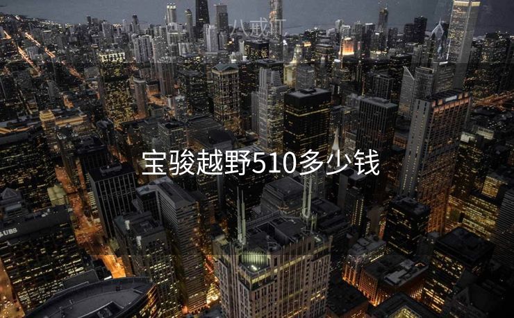  宝骏越野510多少钱