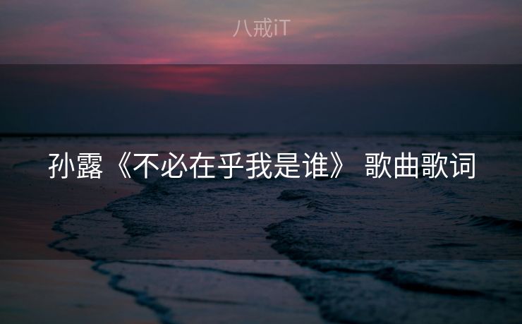 孙露《不必在乎我是谁》 歌曲歌词