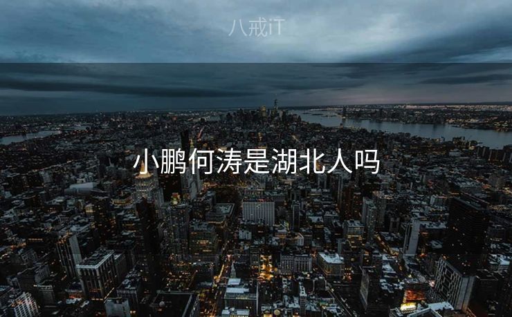 小鹏何涛是湖北人吗