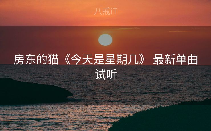房东的猫《今天是星期几》 最新单曲试听