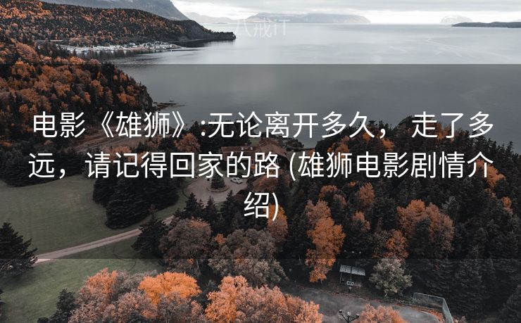电影《雄狮》:无论离开多久， 走了多远，请记得回家的路 (雄狮电影剧情介绍)
