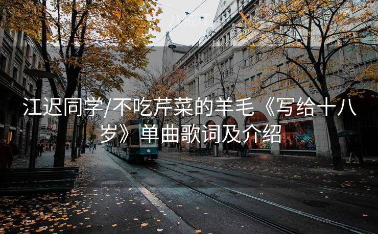 江迟同学/不吃芹菜的羊毛《写给十八岁》单曲歌词及介绍