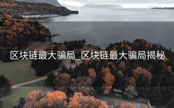 区块链最大骗局_区块链最大骗局揭秘