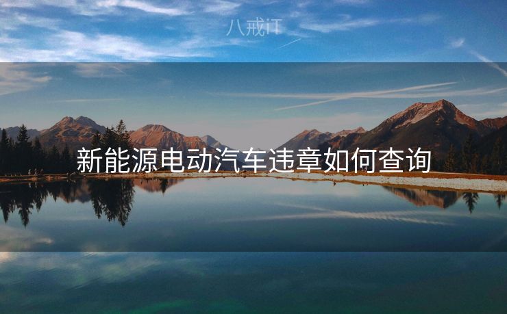 新能源电动汽车违章如何查询