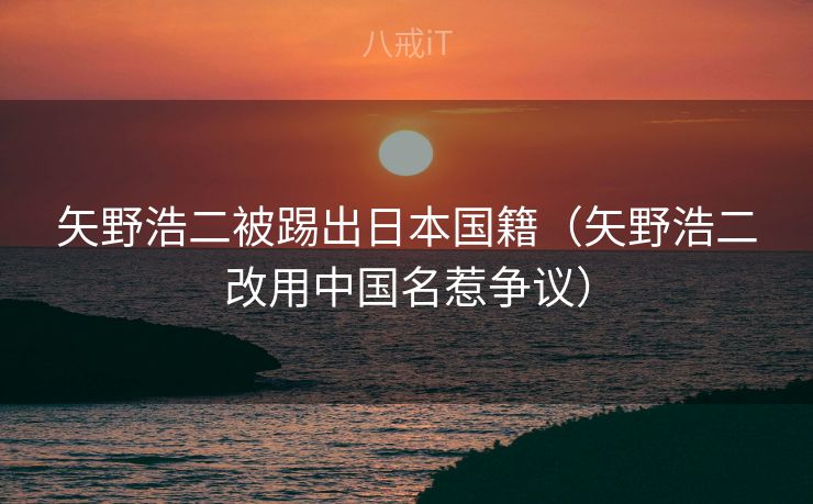 矢野浩二被踢出日本国籍（矢野浩二改用中国名惹争议）