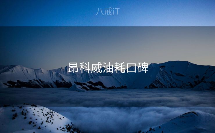 昂科威油耗口碑