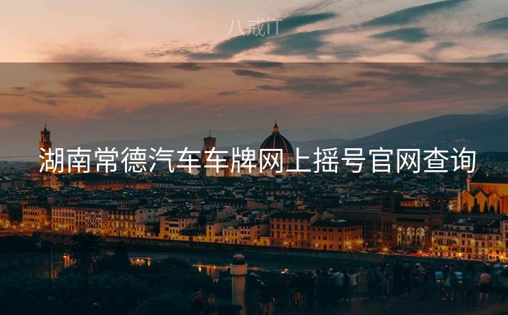  湖南常德汽车车牌网上摇号官网查询