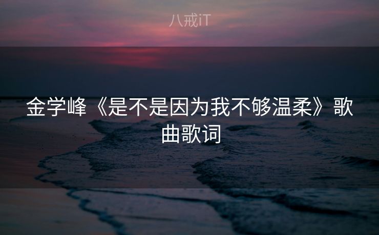 金学峰《是不是因为我不够温柔》歌曲歌词