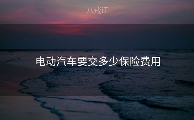 电动汽车要交多少保险费用