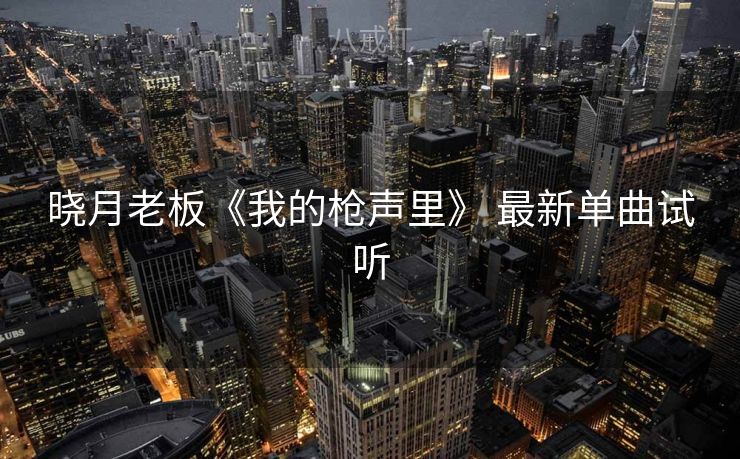 晓月老板《我的枪声里》 最新单曲试听