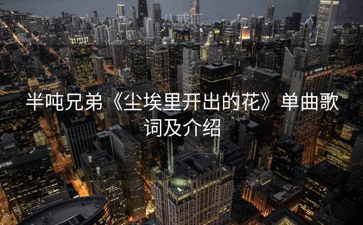 半吨兄弟《尘埃里开出的花》单曲歌词及介绍