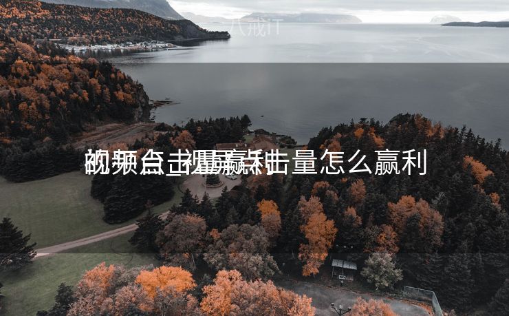 视频点击量赢利
的平台_视屏点击量怎么赢利
