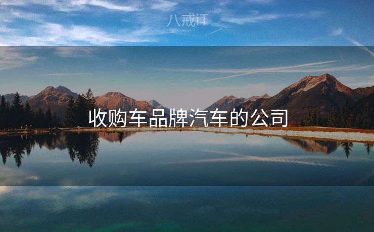 收购车品牌汽车的公司