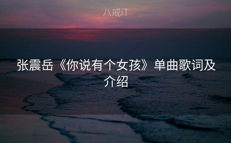 张震岳《你说有个女孩》单曲歌词及介绍