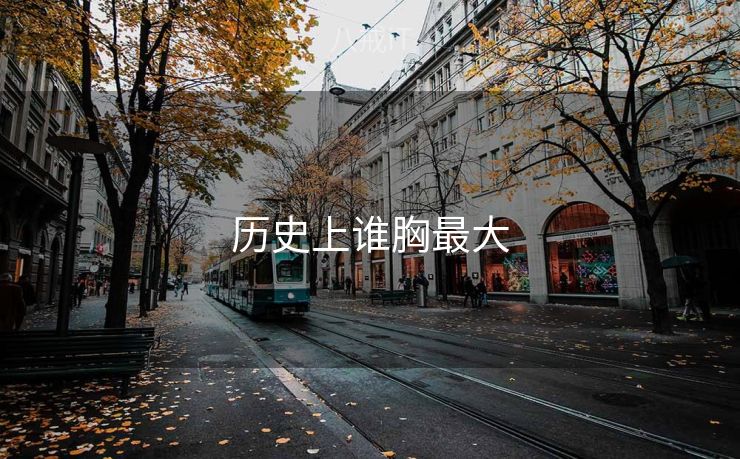 历史上谁胸最大