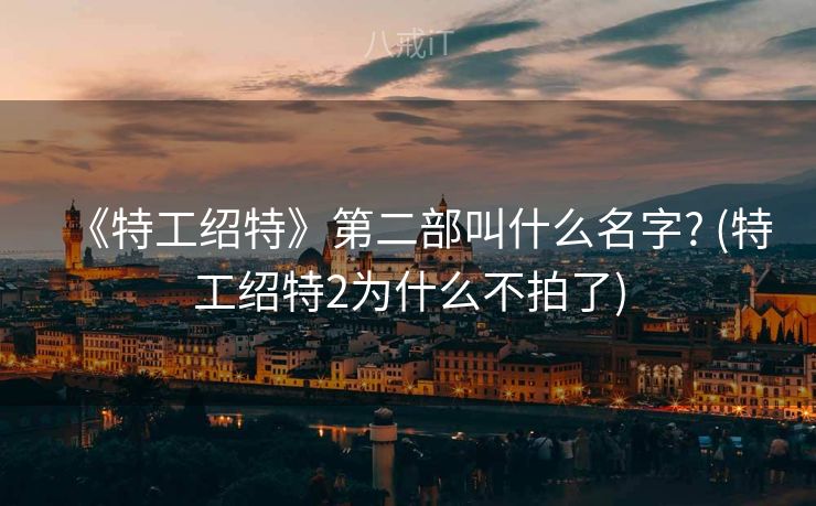 《特工绍特》第二部叫什么名字? (特工绍特2为什么不拍了)