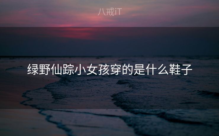 绿野仙踪小女孩穿的是什么鞋子