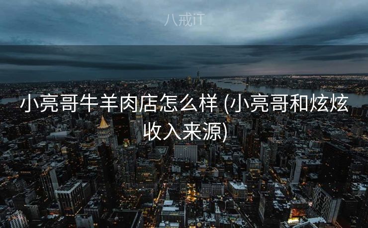小亮哥牛羊肉店怎么样 (小亮哥和炫炫收入来源)