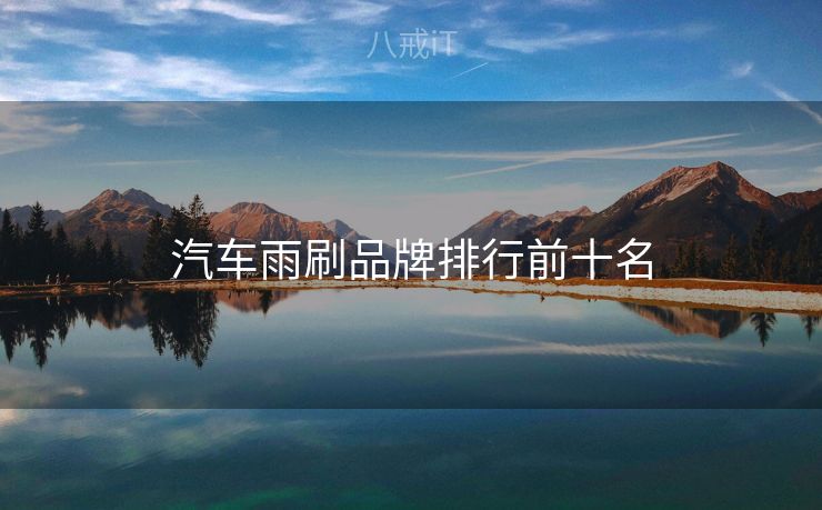 汽车雨刷品牌排行前十名