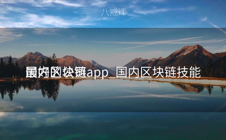 国内区块链app_国内区块链技能
最好的公司