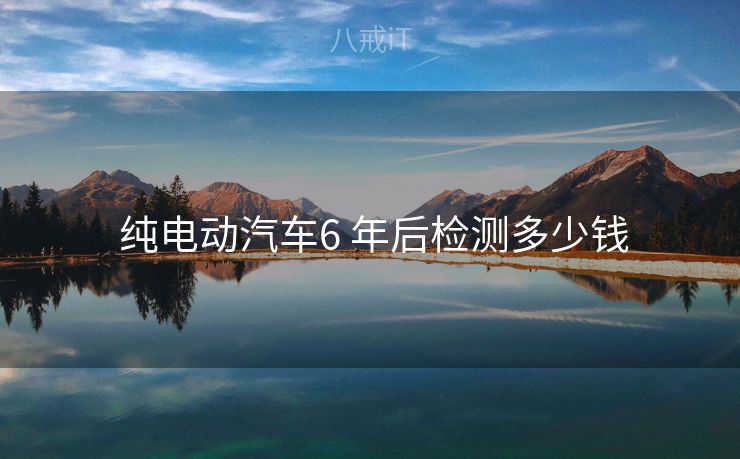  纯电动汽车6 年后检测多少钱