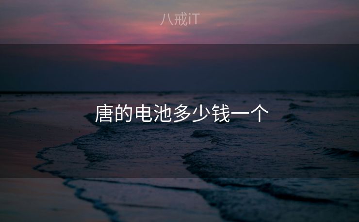  唐的电池多少钱一个