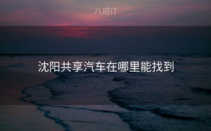 沈阳共享汽车在哪里能找到