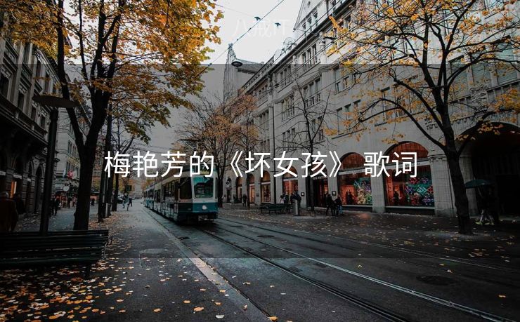梅艳芳的《坏女孩》 歌词