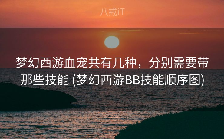 梦幻西游血宠共有几种，分别需要带那些技能 (梦幻西游BB技能顺序图)
