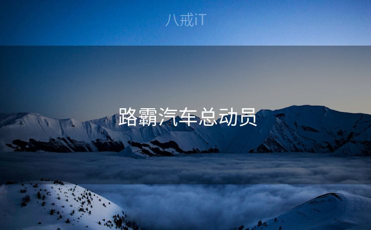  路霸汽车总动员
