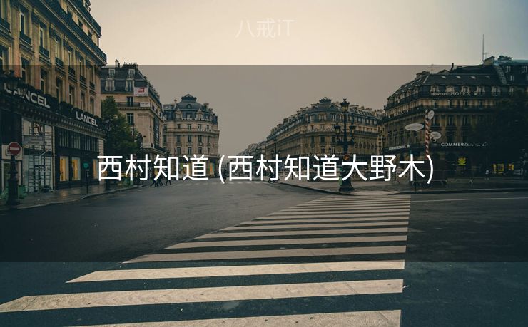西村知道 (西村知道大野木)