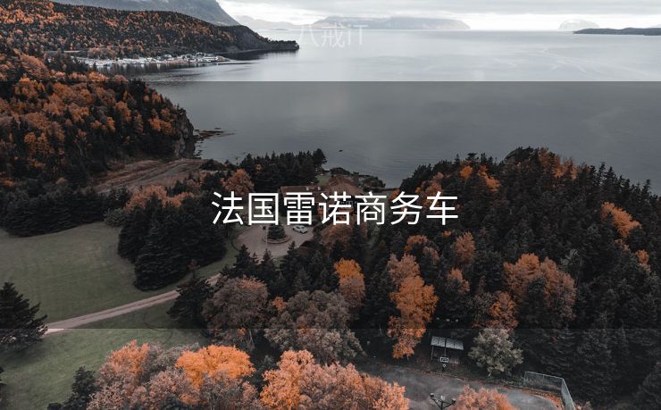  法国雷诺商务车