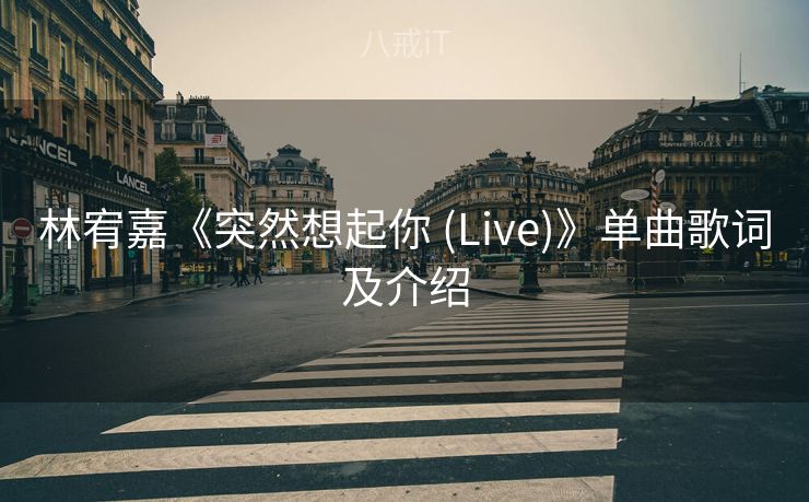 林宥嘉《突然想起你 (Live)》单曲歌词及介绍
