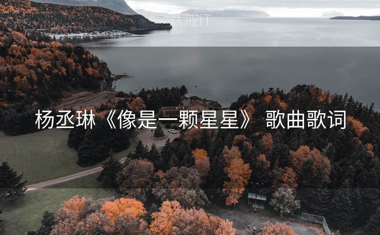 杨丞琳《像是一颗星星》 歌曲歌词