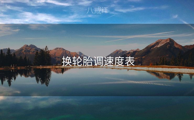  换轮胎调速度表