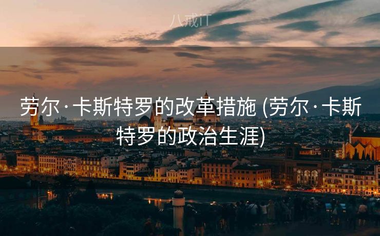 劳尔·卡斯特罗的改革措施 (劳尔·卡斯特罗的政治生涯)