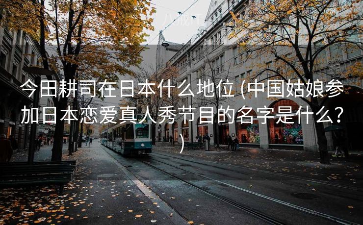 今田耕司在日本什么地位 (中国姑娘参加日本恋爱真人秀节目的名字是什么？)