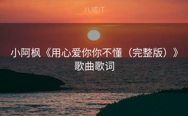 小阿枫《用心爱你你不懂（完整版）》歌曲歌词