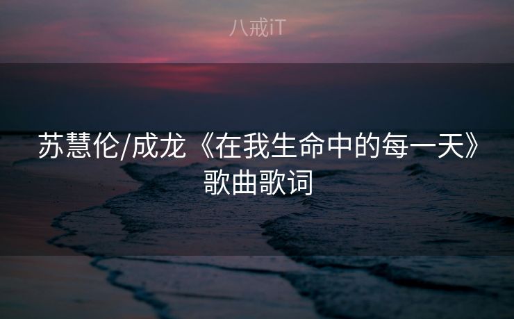 苏慧伦/成龙《在我生命中的每一天》歌曲歌词
