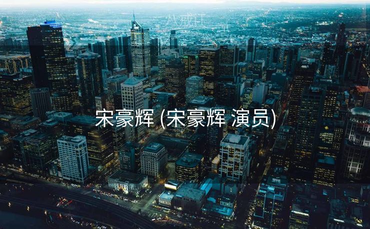 宋豪辉 (宋豪辉 演员)